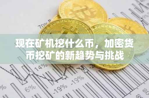 现在矿机挖什么币，加密货币挖矿的新趋势与挑战