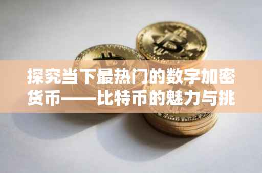 探究当下最热门的数字加密货币——比特币的魅力与挑战