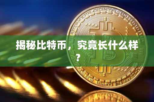 揭秘比特币，究竟长什么样？