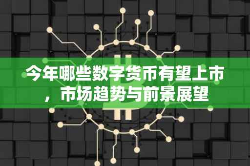 今年哪些数字货币有望上市，市场趋势与前景展望