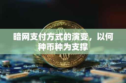 暗网支付方式的演变，以何种币种为支撑