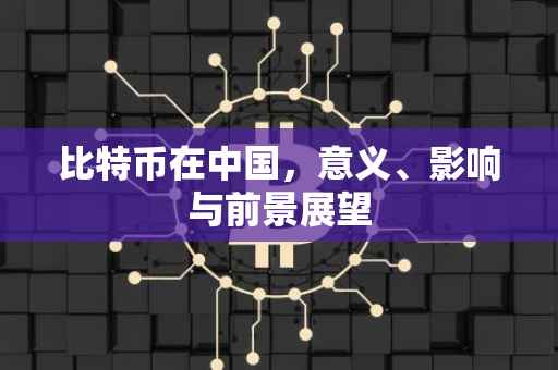 比特币在中国，意义、影响与前景展望