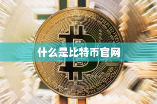 什么是比特币官网