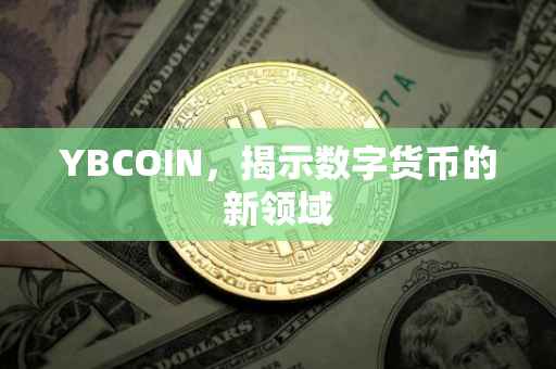 YBCOIN，揭示数字货币的新领域