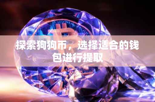 探索狗狗币，选择适合的钱包进行提取