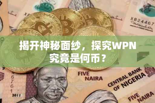 揭开神秘面纱，探究WPN究竟是何币？