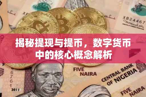 揭秘提现与提币，数字货币中的核心概念解析