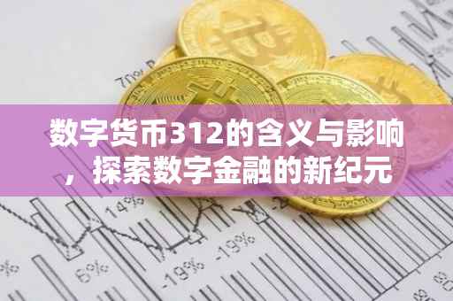 数字货币312的含义与影响，探索数字金融的新纪元