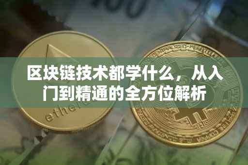 区块链技术都学什么，从入门到精通的全方位解析