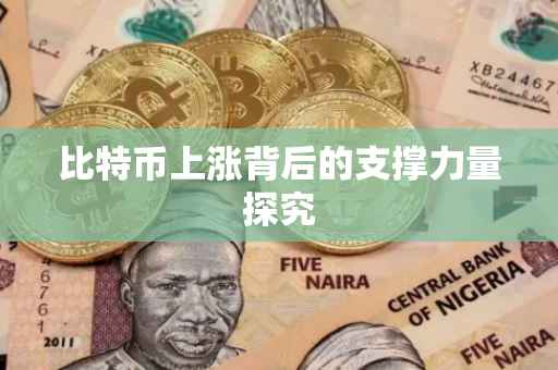 比特币上涨背后的支撑力量探究
