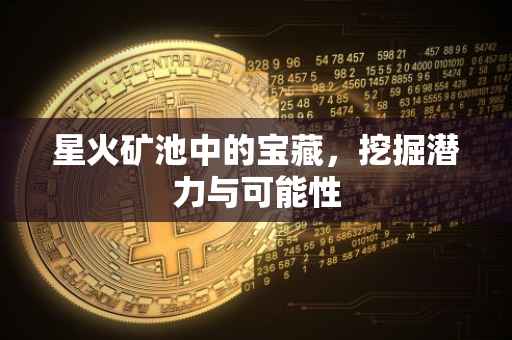 星火矿池中的宝藏，挖掘潜力与可能性