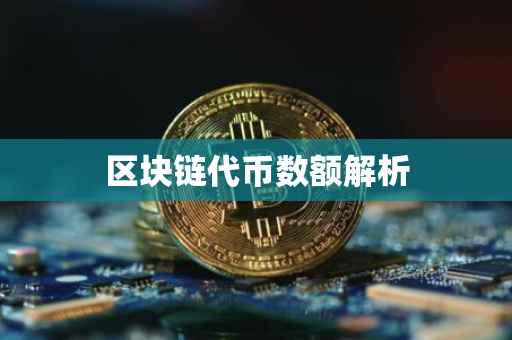 区块链代币数额解析