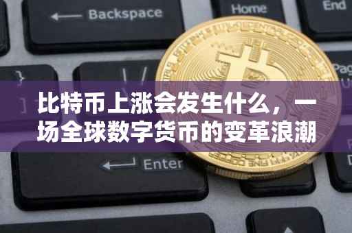 比特币上涨会发生什么，一场全球数字货币的变革浪潮