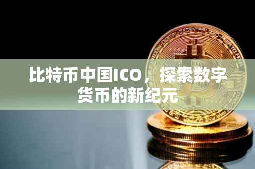 比特币中国ICO，探索数字货币的新纪元