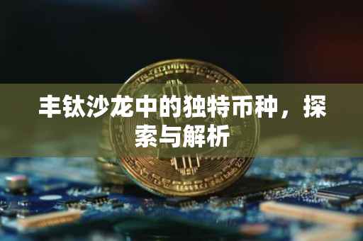 丰钛沙龙中的独特币种，探索与解析