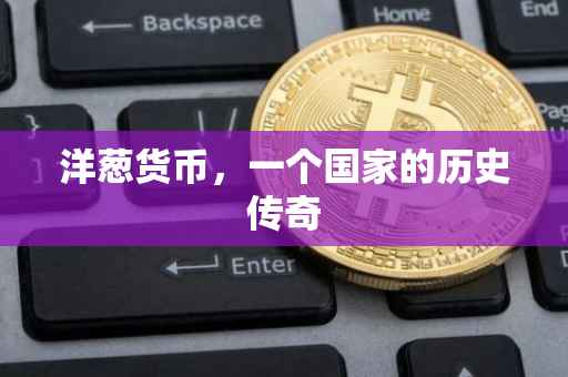 洋葱货币，一个国家的历史传奇