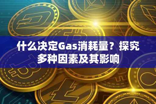 什么决定Gas消耗量？探究多种因素及其影响