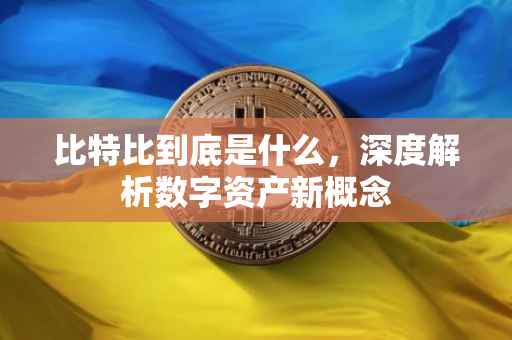 比特比到底是什么，深度解析数字资产新概念