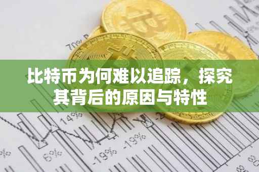 比特币为何难以追踪，探究其背后的原因与特性