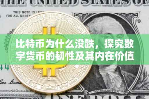 比特币为什么没跌，探究数字货币的韧性及其内在价值