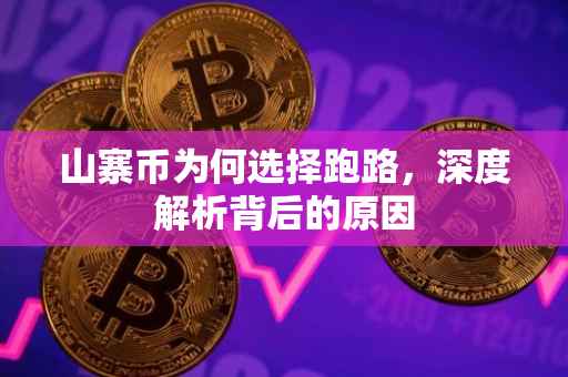 山寨币为何选择跑路，深度解析背后的原因