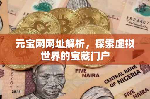 元宝网网址解析，探索虚拟世界的宝藏门户