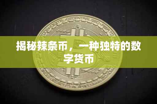 揭秘辣条币，一种独特的数字货币