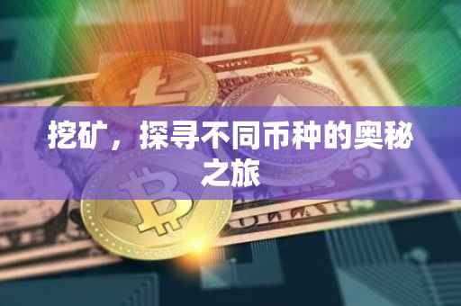 挖矿，探寻不同币种的奥秘之旅