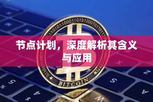 节点计划，深度解析其含义与应用