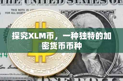 探究XLM币，一种独特的加密货币币种