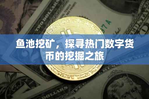 鱼池挖矿，探寻热门数字货币的挖掘之旅