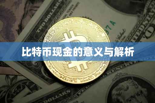 比特币现金的意义与解析