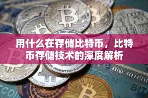 用什么在存储比特币，比特币存储技术的深度解析