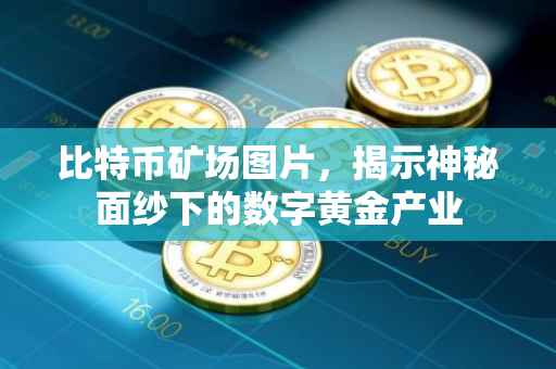 比特币矿场图片，揭示神秘面纱下的数字黄金产业
