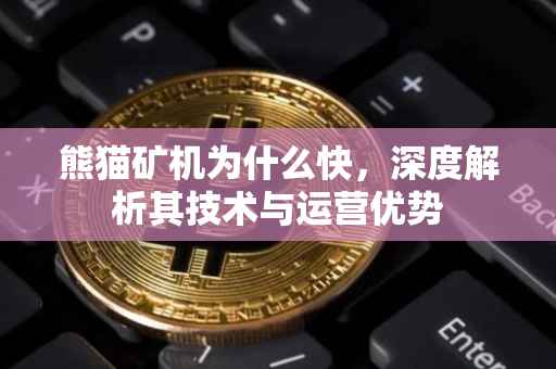 熊猫矿机为什么快，深度解析其技术与运营优势