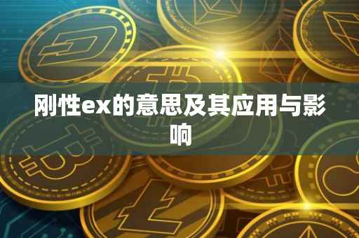 刚性ex的意思及其应用与影响