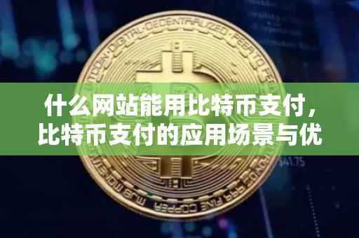 什么网站能用比特币支付，比特币支付的应用场景与优势