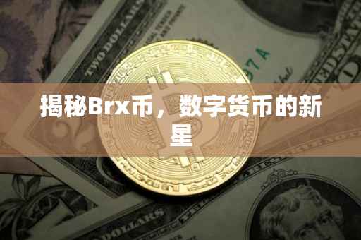 揭秘Brx币，数字货币的新星