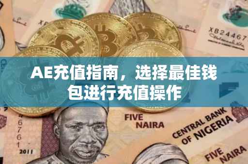 AE充值指南，选择最佳钱包进行充值操作
