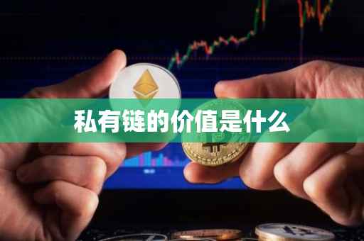 私有链的价值是什么