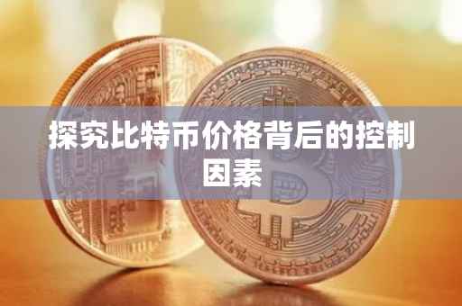 探究比特币价格背后的控制因素