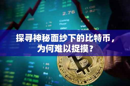 探寻神秘面纱下的比特币，为何难以捉摸？