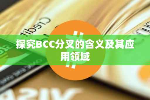 探究BCC分叉的含义及其应用领域