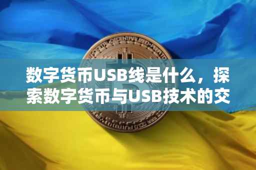 数字货币USB线是什么，探索数字货币与USB技术的交汇点