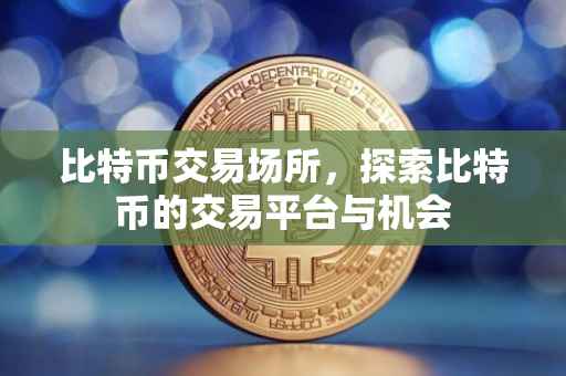 比特币交易场所，探索比特币的交易平台与机会