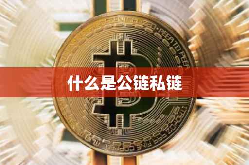 什么是公链私链