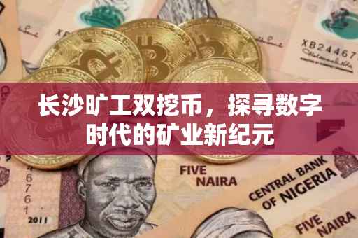 长沙旷工双挖币，探寻数字时代的矿业新纪元