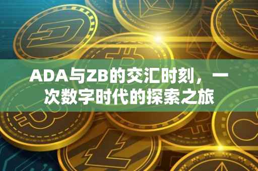 ADA与ZB的交汇时刻，一次数字时代的探索之旅