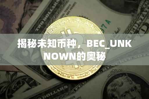 揭秘未知币种，BEC_UNKNOWN的奥秘