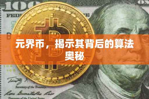 元界币，揭示其背后的算法奥秘